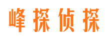 成安市侦探调查公司